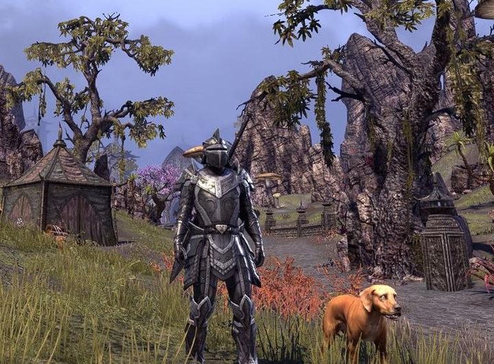 Il fenomeno mondiale: The Elder Scrolls Online svela un nuovo record incredibile per il 2024!